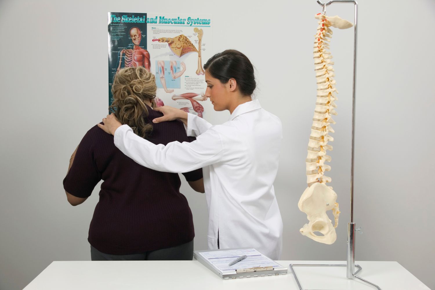 Chiropractic Marketing Company Florida